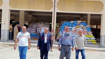 متابعة مستمرة لعملية توريد القمح بكفر الشيخ