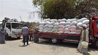توريد 75466 طنًا و 454 كيلو قمح لشون وصوامع كفر الشيخ