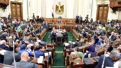 النواب يرفض رفع الحصانة عن النائبة سحر القاضي.. ويرفع الجلسة العامة للغد