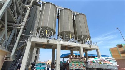 توريد ٥٤٣٢٥ طن قمح للشون والصوامع بمحافظة البحيرة