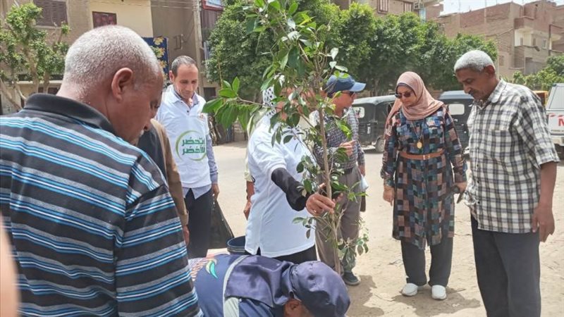 محافظ أسيوط تنفيذ