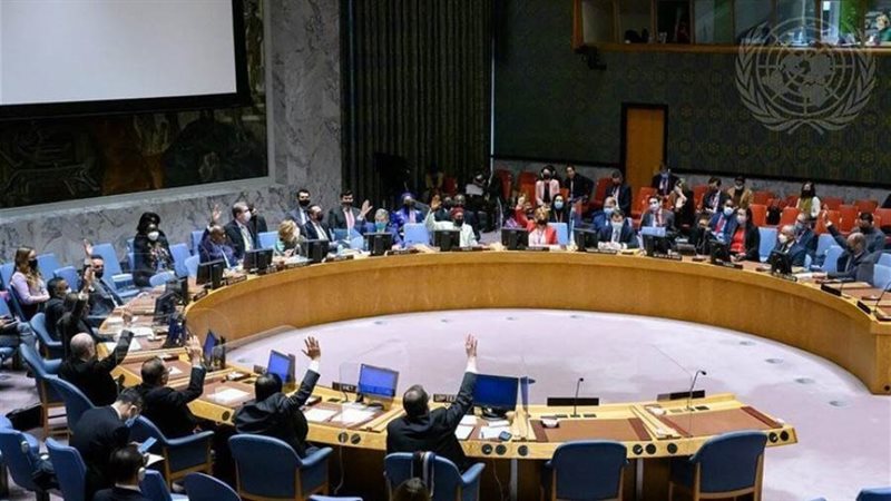 مجلس الأمن