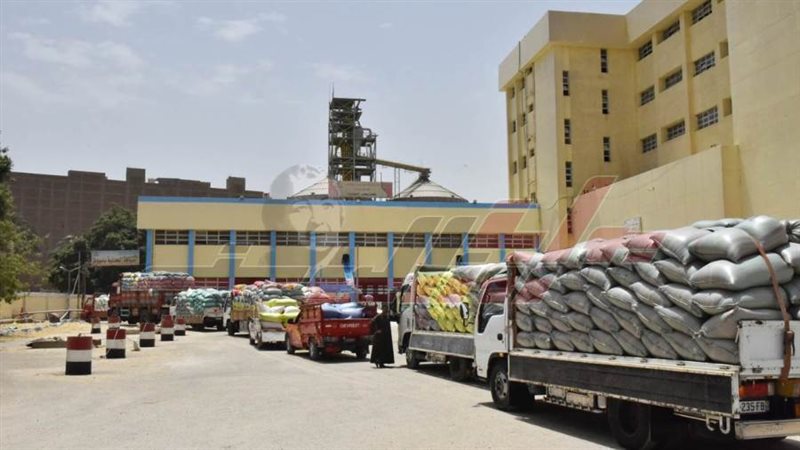 توريد القمح