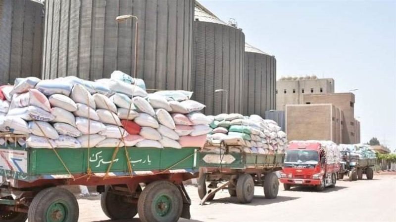 توريد القمح للصوامع