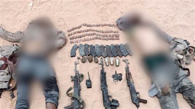 مفتي الجمهورية يشيد بضربات أبطال القوات المسلحة وملاحقة العناصر الإرهابية بشمال سيناء