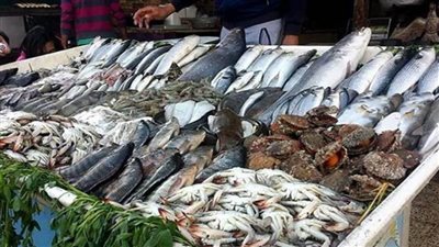 سعر الأسماك اليوم الخميس 12 مايو 2022 في سوق العبور