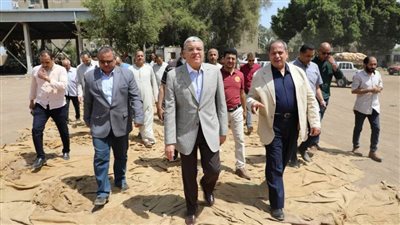 المنيا تستقبل 139 ألف طن من محصول القمح منذ بدء الموسم