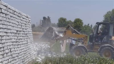 محليات بني سويف تتصدى للإزالات والنظافة وصيانة المرافق وتحسن الخدمات 