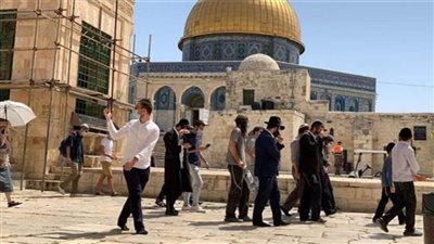 مُستوطنون إسرائيليون يقتحمون المسجد الأقصى بحماية شرطة الاحتلال