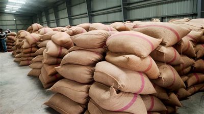 محروس ينفي وجود أي مشكلات في عمليات توريد القمح بالإسماعيلية