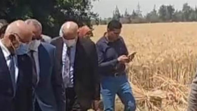 محافظ القليوبية ورئيس