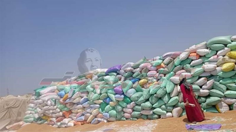 توريد القمح