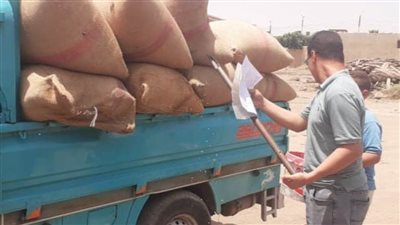 الواسطى تتابع توريد القمح والفشن ترفع إحداثيات الأراضي لحياة كريمة