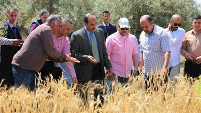 رئيس جامعة العريش يتفقد المزرعة ويؤكد على زراعة القمح والشعير والمحاصيل الاستراتيجية  