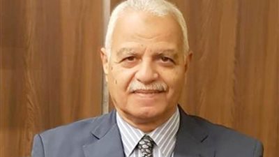 اللواء محمد إبراهيم: يجب استثمار الزخم الذي انبثق عن استشهاد 