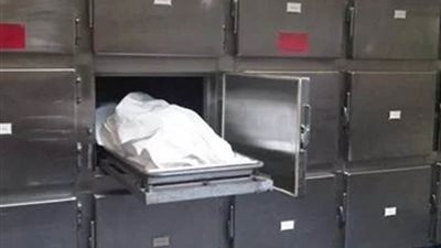 عايرته بعدم الإنجاب فأنهى حياتها بـ 