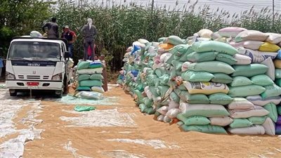 ضبط 200 طن قمح محلى بدون ترخيص أو تصريح من الجهات المختصة داخل مخزن 