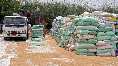 شولتس: نرفض السلام بشروط روسيا في أوكرانيا