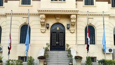 محافظة القاهرة تنكس الأعلام حدادا على وفاة الشيخ خليفة بن زايد