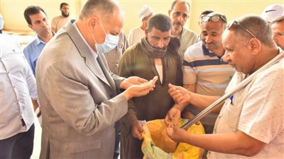 محافظ أسيوط: توريد 45 ألف طن قمح بعدد 30 مركز تجميع وصومعة
