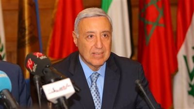 الدستورية العليا: المذكرات الإيضاحية لمشروعات القوانين لا تصلح أن تكون محلا للرقابة الدستورية