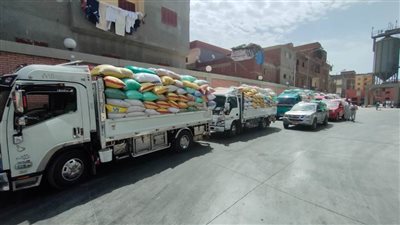 توريد ٨٢٨١٦ طن قمح لشون وصوامع مدن ومراكز محافظة البحيرة