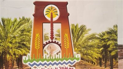 طفرة غير مسبوقة على مستوى تطوير شبكات الكهرباء بالوادي الجديد ضمن مبادرة حياة كريمة