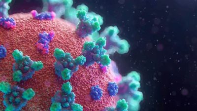 مستجدات فيروس كورونا حول العالم.. إصابة رئيسة وزراء نيوزيلندا