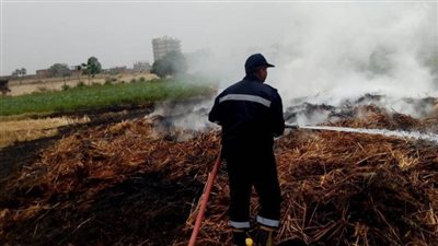 السيطرة على حريق نشب بمحصول القمح بأرض زراعية بكفر شكر