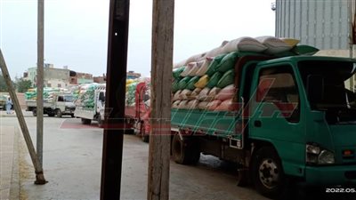 توريد 136518 طنًا و834 كيلو قمح لشون وصوامع كفر الشيخ