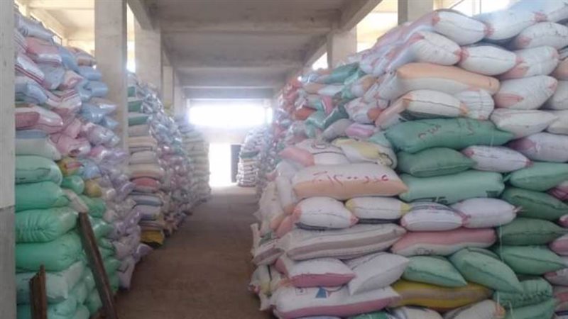 انتظام توريد القمح