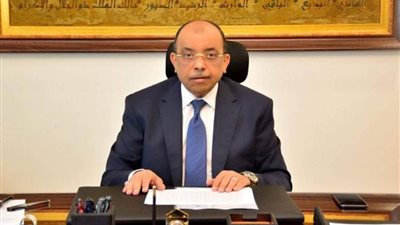 وزير التنمية المحلية يؤكد على جهود الحكومة في التقليل من الانبعاثات الكربونية والتغيرات المناخية