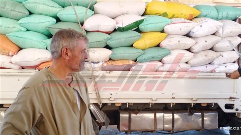 توريد القمح