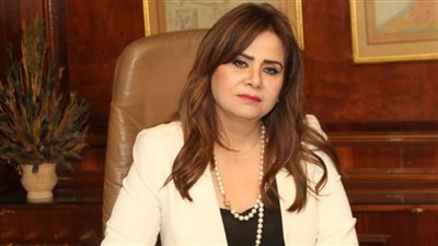 برلمانية: تأسيس الشركات بالإخطار رقميًا يشجع على جذب الاستثمارات الخارجية