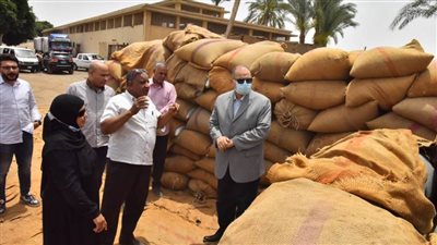 محافظ أسيوط يعلن ارتفاع توريد محصول القمح المحلي ليصل إلى 83 ألف طن