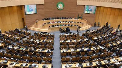 الاتحاد الإفريقي: أهمية توافر بيانات حول أمن وسلامة الغذاء التجارة الحرة القارية الإفريقية