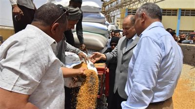 محافظ أسيوط: استلام 91 ألف طن قمح بالشون والصوامع منذ بدء الموسم