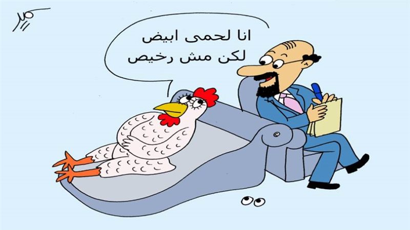 بوابة روز اليوسف