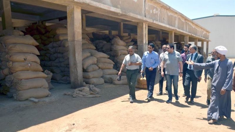 توريد القمح ببنى