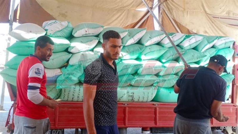 توريد القمح