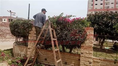 رفع كفاءة عدد من الميادين ببيلا في كفر الشيخ