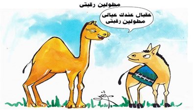 يوميات صميدة وحمدان