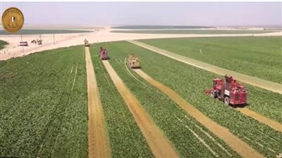 بث مباشر..الرئيس السيسي يفتتح مشروع مستقبل مصر للإنتاج الزراعى