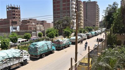 شون وصوامع المنيا تستقبل 309 آلاف طن من محصول القمح