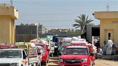 توريد ٢٢٠٢٢٤ طنا من الذهب الأصفر لشون وصوامع محافظة البحيرة