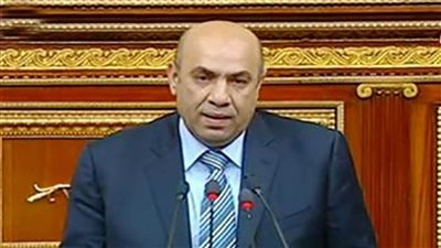 برلماني: المشروعات القومية ليست رفاهية.. ومستقبل مصر يحافظ علي الأمن الغداني