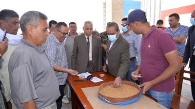 محافظ الإسماعيلية يتفقد صوامع القمح بأبوصوير  