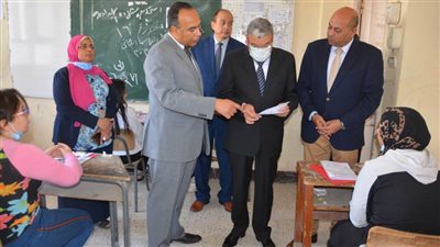 محافظ المنيا يوقف رئيس لجنة و6 مراقبين وملاحظين عن العمل