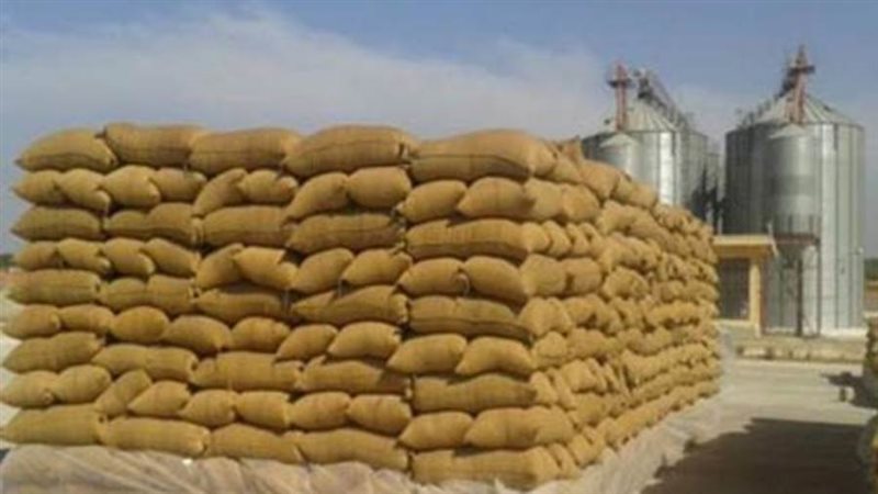 استمرار توريد محصول