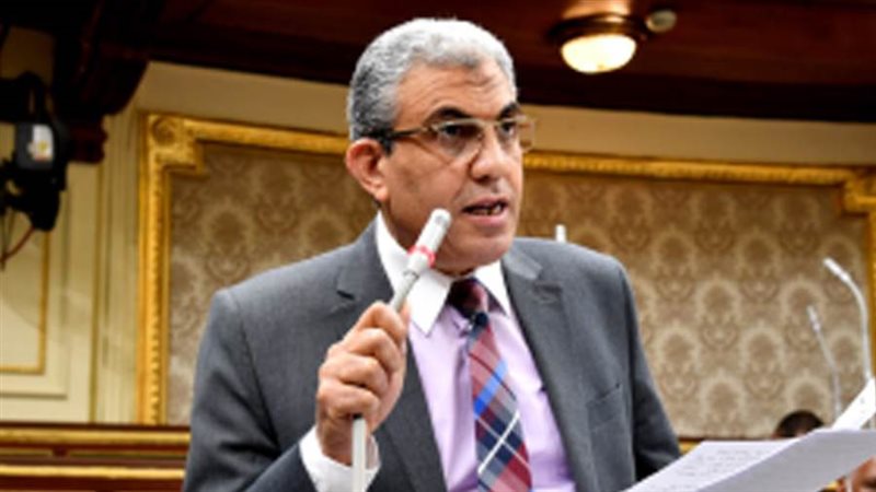 النائب عادل عبدالفضيل